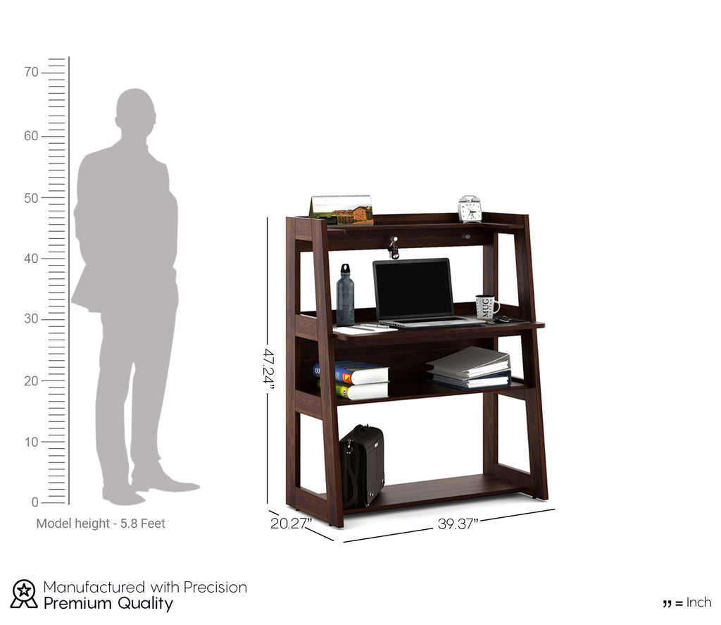Stella Brown Winner Rigato Study Table in Walnut Finish